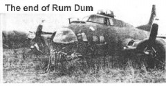 42-31378-Rum-Dum-End